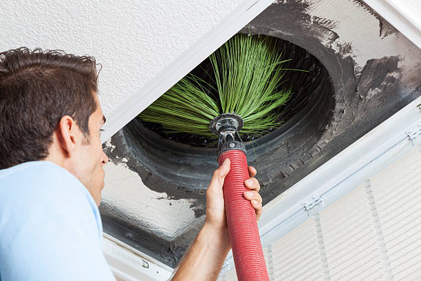 Best Air Duct Cleaning Near Me  in Drexel Heights, AZ